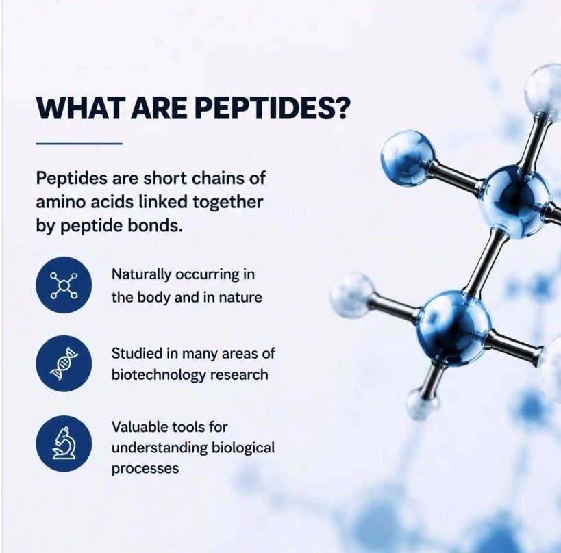 Peptide explained 02